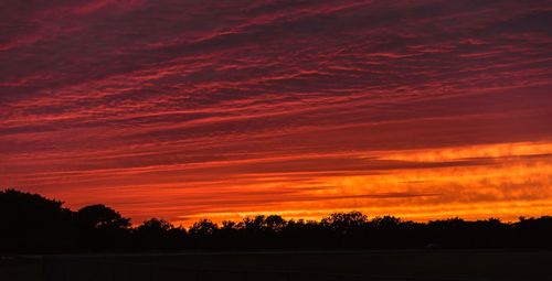 Silhouette trees on landscape against orange sky