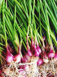 Close-up of vegetables for sale in market