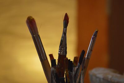 Close-up of paintbrushes