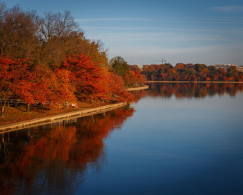 Scenic view of lake by trees against sky during autumn
