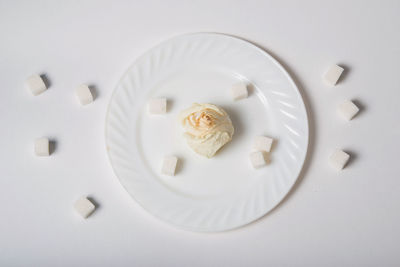 High angle view of dessert on table