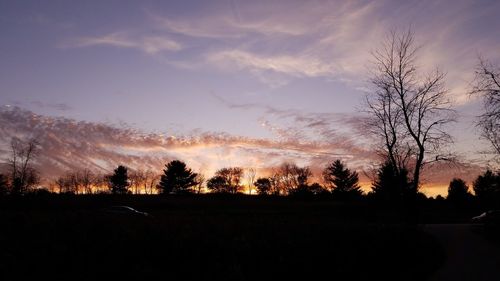 Silhouette trees against sky during sunset