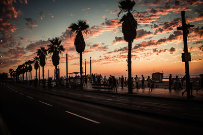 Silhouette palm trees by street against sky during sunset