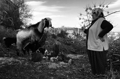 Woman standing by goats on hill against sky