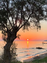 Scenic view of sea against orange sky