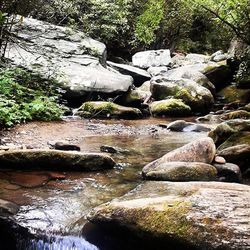 Scenic view of river flowing through rocks