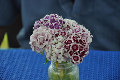 Close-up of purple flowers