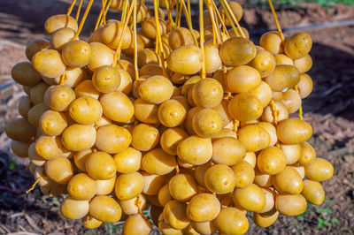 Close-up of fruits for sale at market stall