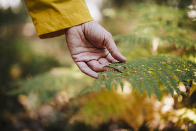 Close-up of person hand holding plant on field