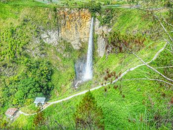 Waterfall in forest