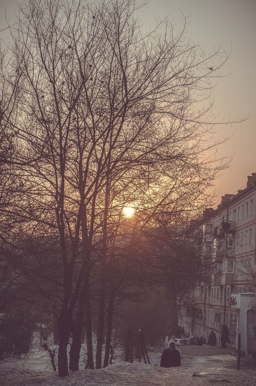 bare tree, tree, building exterior, sunset, built structure, architecture, branch, sun, silhouette, nature, sky, city, sunlight, tranquility, outdoors, beauty in nature, no people, scenics, growth, winter