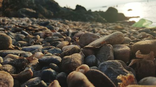 Close-up of pebbles at beach