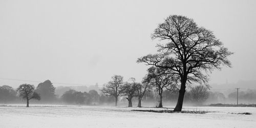 Bare trees on snow covered field against clear sky
