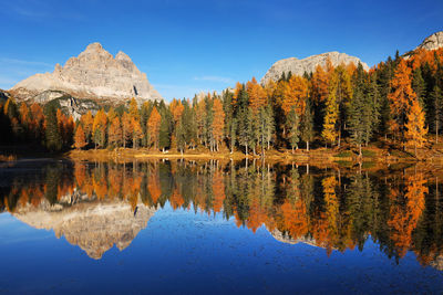 Scenic view of lake by trees during autumn