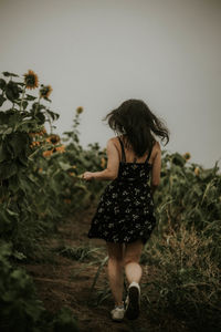 Rear view of young woman running at sunflower farm