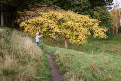 Rear view of man walking on footpath