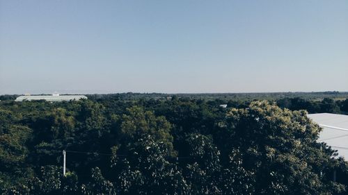 Trees on landscape against clear sky