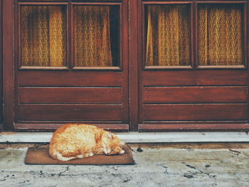 Brown cat sleeping on doormat against house