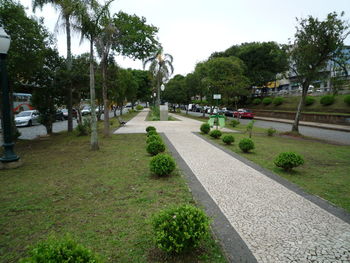 Footpath in park against sky