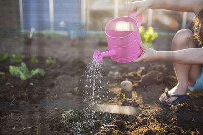 Midsection of girl watering seedling in backyard