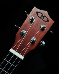 High angle view of guitar against black background