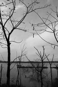 Silhouette bare tree by lake against sky