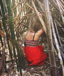 Low angle view of woman