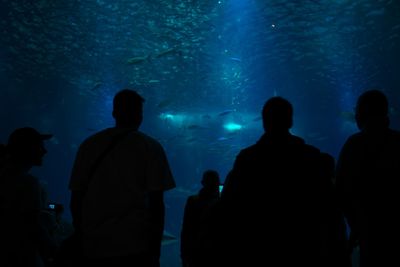 Silhouette people at aquarium