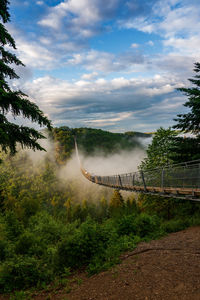 View of a suspension bridge in germany, geierlay.