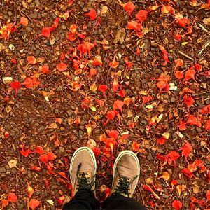 Low section of man standing on fallen autumn leaves