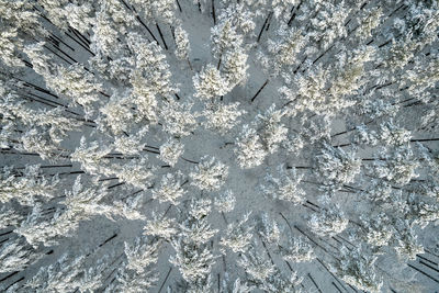 Full frame shot of frozen wall