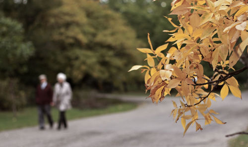 Man and woman walking on road during autumn