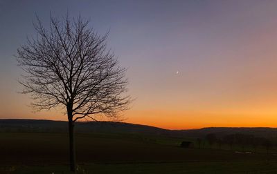 Silhouette bare tree on field against clear sky at sunset