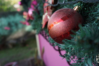 Close-up of bauble on christmas tree