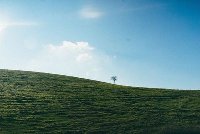 Low angle view of grassy field against sky