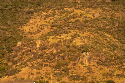 natural environment