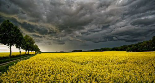 Scenic view of field against cloudy sky