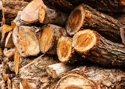 Full frame shot of logs in forest