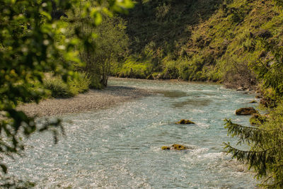 View of river flowing through forest