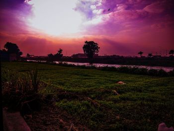 Scenic view of field against sky at sunset