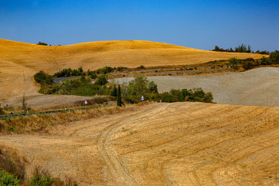 Scenic view of field against clear sky