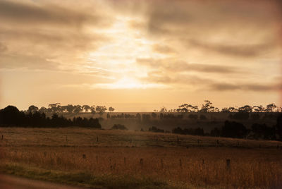 Scenic view of field against sky during sunset