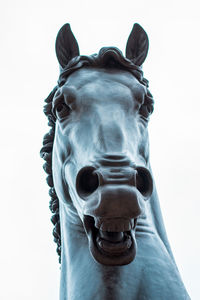 Close-up of a horse sculpture against white background