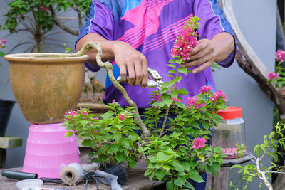 Midsection of woman holding pink flower pot