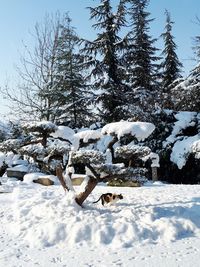 Snow on landscape against sky