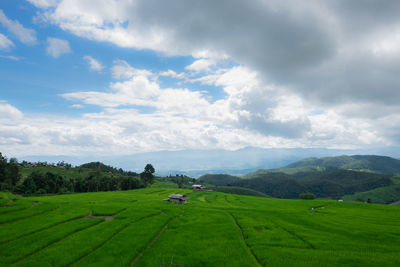 Scenic view of agricultural field against sky