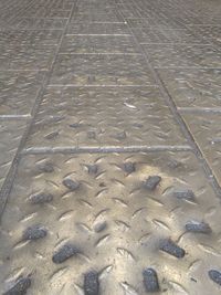 High angle view of crab on wet sand