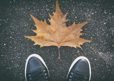 Low section of man standing by maple leaf on street