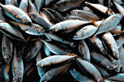 Full frame shot of fish for sale in market