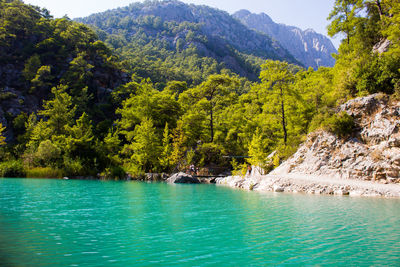 Scenic view of waterfall in forest